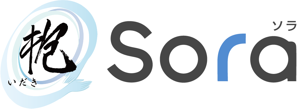 抱Sora